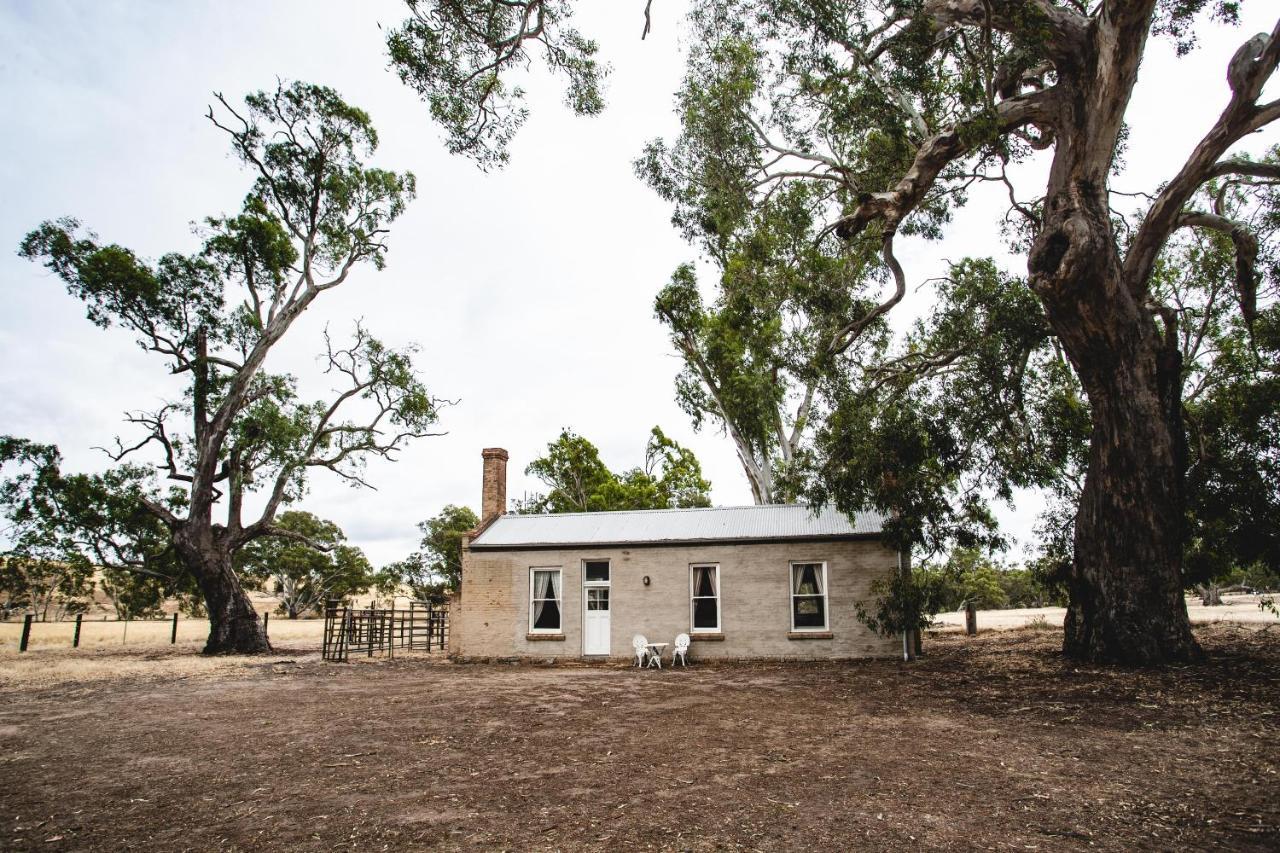 Ravenswood Homestead Экстерьер фото